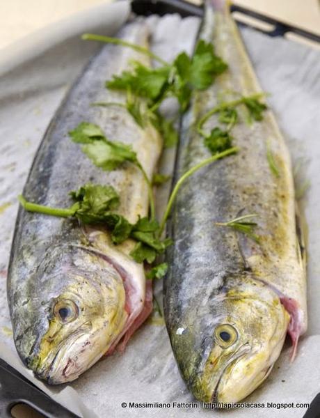 Cucinare il pesce in forno: Lampuga con finocchietto, erba luisa e coriandolo al porto bianco