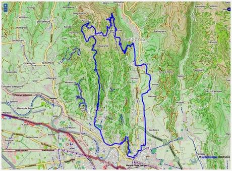 Strung up mtb trails on the western hills (10/4, 2015)