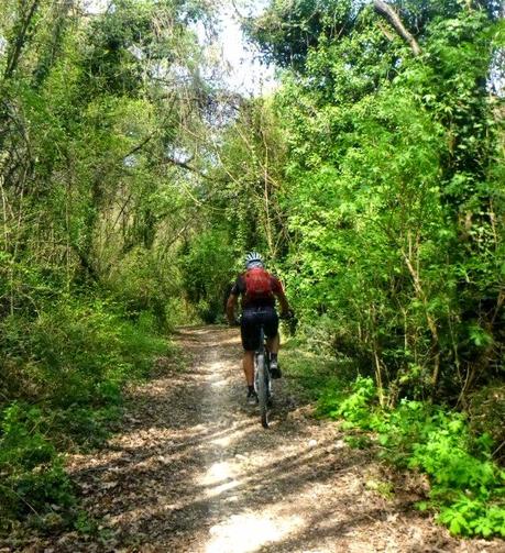 Strung up mtb trails on the western hills (10/4, 2015)