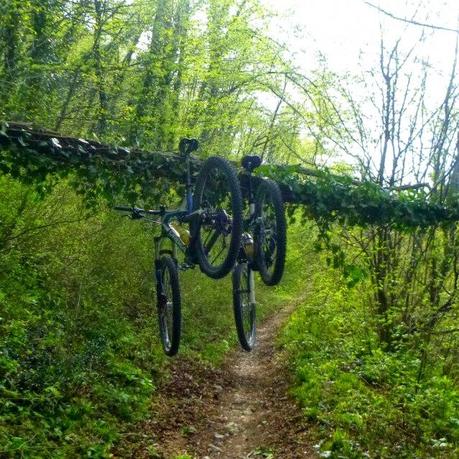 Strung up mtb trails on the western hills (10/4, 2015)