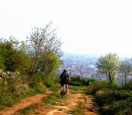 Strung up mtb trails on the western hills (10/4, 2015)