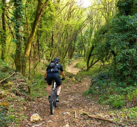 Strung up mtb trails on the western hills (10/4, 2015)