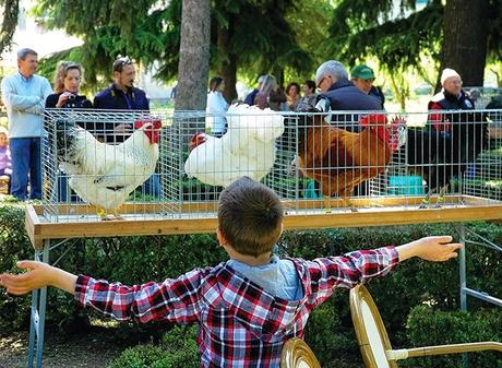 MAIRANO DI CASTEGGIO (pv). Weekend dedicato ad animali rari e attività all’aperto alla Fondazione Bussolera Branca