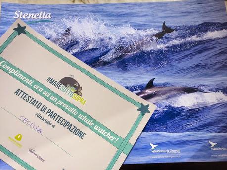 Cosa fare a Genova con i bambini ? Una escursione a vedere i delfini!
