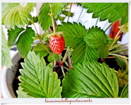 Torta con frutti di bosco e fragole senza latticini  / Cake with berries and strawberries without dairy products