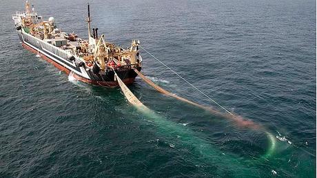 Ennesimo caso di pesca illegale nell'arcipelago toscano
