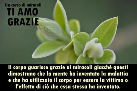 Il miracolo non ti risveglia ma semplicemente ti dimostra chi è quello che sta sognando. Parte 3.