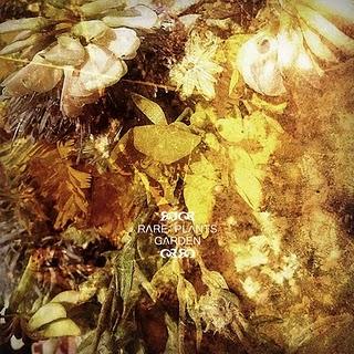 [12rec.064] The rare plants garden- s/t