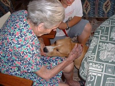 La compagnia dei cani aiuta gli anziani
