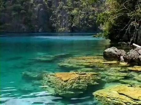 Palawan & Busuanga nel Posto delle Cose