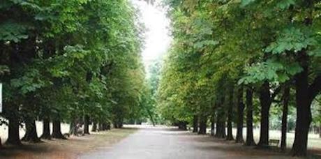 entratatalon1 Domenica 13 marzo – Incontro al Parco Talon