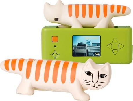 ATTENZIONE I GATTI VI SPIANO... E VI FANNO FOTO E VIDEO!!! ATTENZIONE I GATTI VI SPIANO... E VI FANNO FOTO E VIDEO!!!