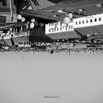 Threestepstotheocean – Migration Light Threestepstotheocean – Migration Light