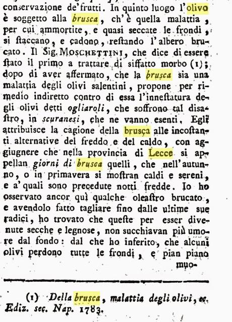 La mia opinione sulla malattia del Disseccamento e sulla Xylella