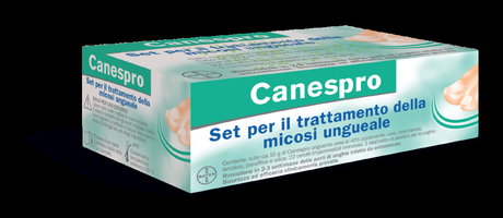 Canespro (Medium)