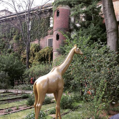 giraffe in giardino....
