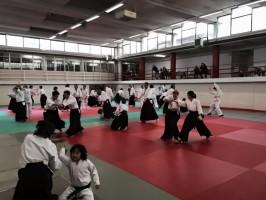 aikido tendoryu waka sensei monza 2015