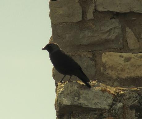 Bella e faticosa Perugia///Journey in Umbria