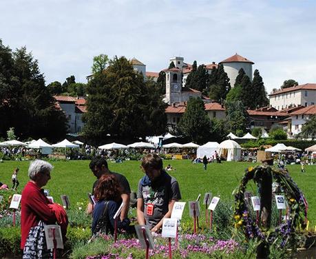 gs838-TRE-GIORNI-PER-IL-GIARDINO