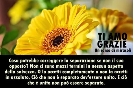 Quando la verità diventa il tuo proposito il corpo guarisce. Parte 1.