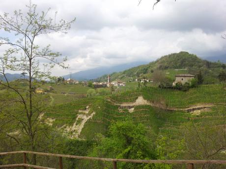 Conegliano Veneto: su e giù per le colline tra vigneti di prosecco