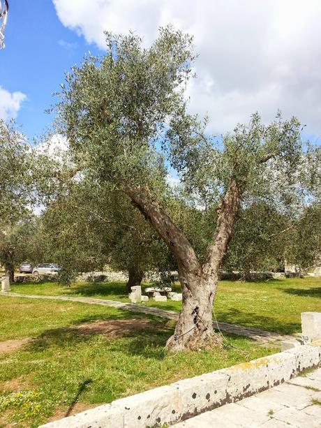 Osservazioni SP 10;  SS16 dallo svincolo San Cesario – Cavallino allo svincolo Corigliano d’Otranto – Castrignano dei Greci; SP 35 e Masseria degli Angeli Corigliano d’Otranto del 25 aprile 2015