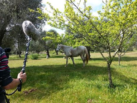 Osservazioni SP 10;  SS16 dallo svincolo San Cesario – Cavallino allo svincolo Corigliano d’Otranto – Castrignano dei Greci; SP 35 e Masseria degli Angeli Corigliano d’Otranto del 25 aprile 2015