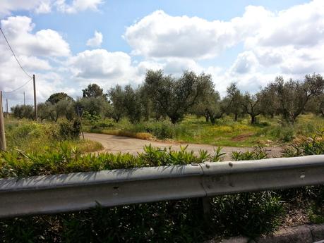 Osservazioni SP 10;  SS16 dallo svincolo San Cesario – Cavallino allo svincolo Corigliano d’Otranto – Castrignano dei Greci; SP 35 e Masseria degli Angeli Corigliano d’Otranto del 25 aprile 2015