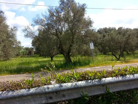 Osservazioni SP 10;  SS16 dallo svincolo San Cesario – Cavallino allo svincolo Corigliano d’Otranto – Castrignano dei Greci; SP 35 e Masseria degli Angeli Corigliano d’Otranto del 25 aprile 2015