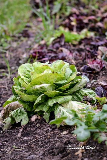 Quello che mi fa stare bene…per recipe-tionist di Aprile e