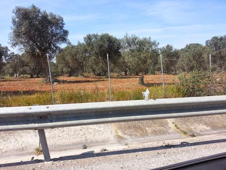 Osservazioni sulla SS613 da Lecce sino allo svincolo di Squinzano e SP 100 sino al Centro Urbano di Squinzano del 26 aprile 2015 Osservazioni sulla SS613 da Lecce sino allo svincolo di Squinzano e SP 100 sino al Centro Urbano di Squinzano del 26 aprile 2015