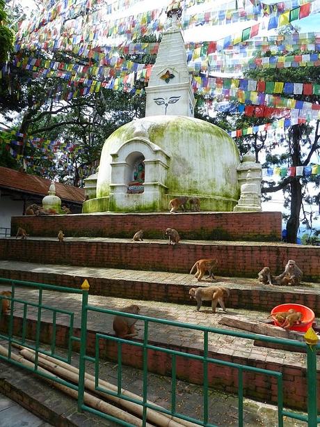 Nepal