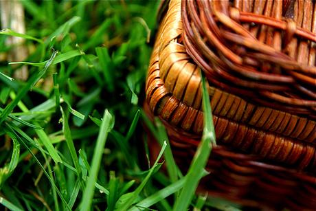 Wicker Picnic Basket Grass 6-1-09 1 by stevendepolo, on Flickr