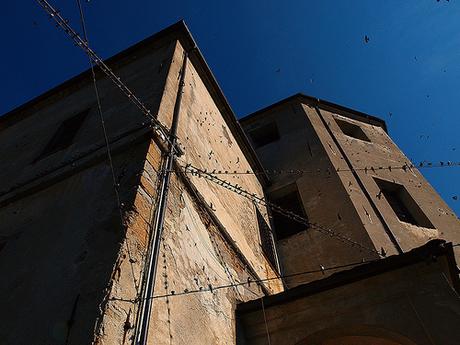 Swallows - Rondini by Riccardo Palazzani, on Flickr