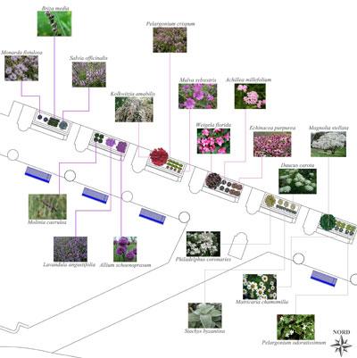 fig 10 6 b Giardini nelle strutture di cura: la salute parte da una buona progettazione