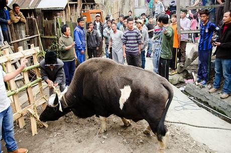 Arunachal Pradesh: Il sacrificio