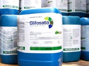 glifosato-U430605845973062pD-U43070843662561Z7H-1224x916@Corriere-Web-Sezioni-593x443