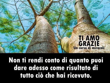 Ti sei liberato dal dolore e dalla malattia così come da tutti gli effetti dell'odio e dell'attacco. Parte 2. Ti sei liberato dal dolore e dalla malattia così come da tutti gli effetti dell'odio e dell'attacco. Parte 2.