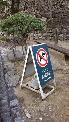 Curiosamente, al castello di Inuyama, che significa 'monte del cane' non sono amessi i cani (foto di Patrick Colgan, 2015)