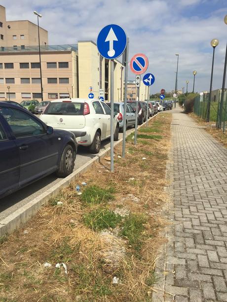 Parcheggio di Tor Vergata. Il grande reportage in 40 foto per una situazione completamente fuori controllo