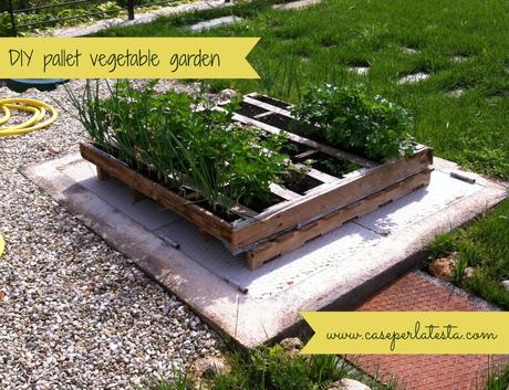 DIY_pallet_vegetable_garden