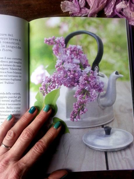 Buon Gardening con Simonetta Chiarugi blossom zine buon gardening simonetta chiarugi (4)
