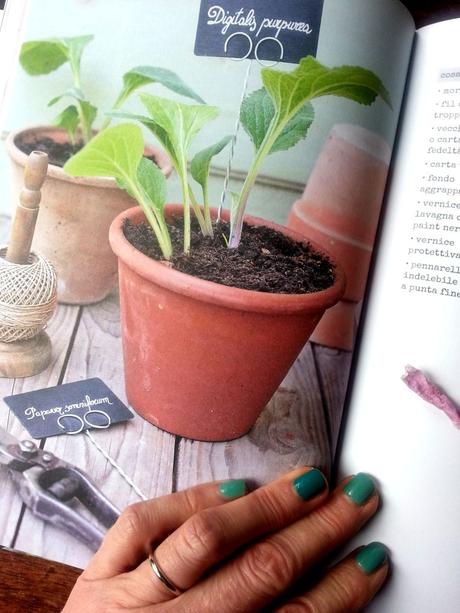 Buon Gardening con Simonetta Chiarugi blossom zine buon gardening simonetta chiarugi (5)