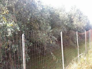 Osservazioni su SP 125 nei pressi della SP362 del 5 maggio 2015 Osservazioni su SP 125 nei pressi della SP362 del 5 maggio 2015