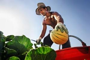 Aperte le iscrizioni alla settima edizione di Obiettivo Agricoltura