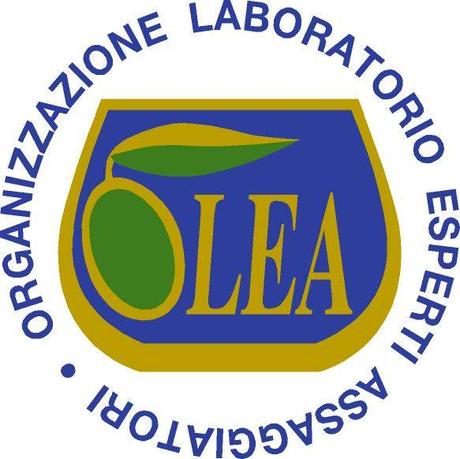 Friuli: nuovo corso d'assaggio olio da olive.
