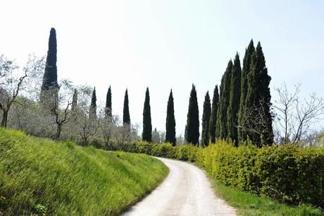 incisioni rupestri e monte luppia da punta san vigilio