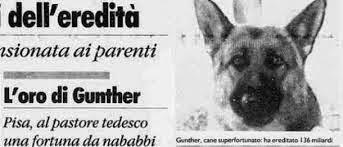 Un cane pastore, un giornale e una tv albanese