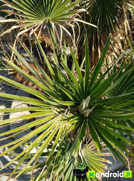 Recensione ITA: Xiaomi Mi Note al prezzo più basso con codice sconto Recensione ITA: Xiaomi Mi Note al prezzo più basso con codice sconto