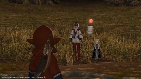 Final Fantasy XIV: A Realm Reborn